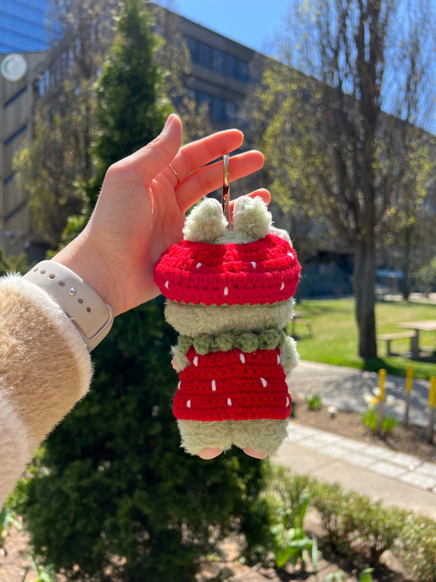 Strawberry labubu clothes