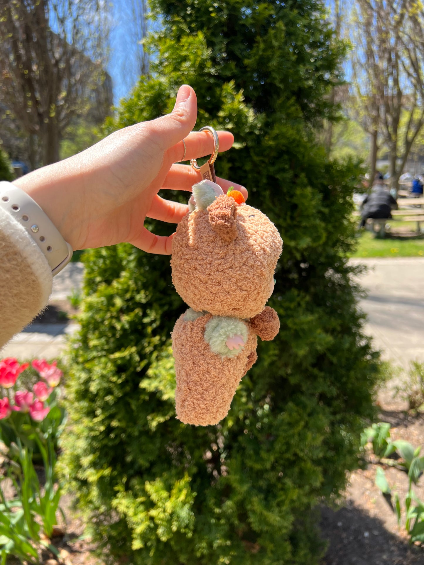 Capypara labubu clothes